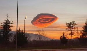 Mind-Bending Moments Caught on Camera That Will Leave You Speechless - image 6