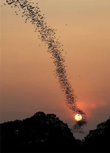 Mind-Bending Moments Caught on Camera That Will Leave You Speechless - image 3