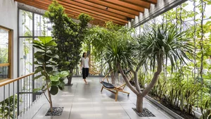 What is Biophilic Design? Real-World Homes Applying Natural Principles Successfully - image 7