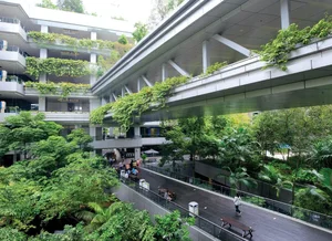 What is Biophilic Design? Real-World Homes Applying Natural Principles Successfully - image 10