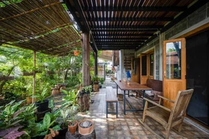 What is Biophilic Design? Real-World Homes Applying Natural Principles Successfully - image 11