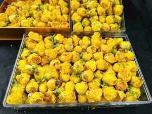 The Rare Vietnamese Plant Prized by Traders for Millions per Kilogram - image 2