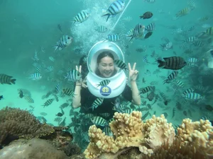 Phu Quoc Travel Guide: 3 Days of Diving and Sunsets for the Holiday Season - image 7