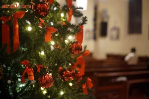 Experience Christmas Magic at Da Lat Cathedral: Vietnam's Famous Historic Church - image 3