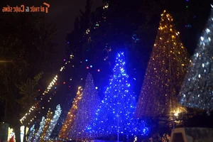 Experience Christmas Magic at Da Lat Cathedral: Vietnam's Famous Historic Church - image 9