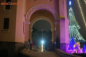 Experience Christmas Magic at Da Lat Cathedral: Vietnam's Famous Historic Church - image 4