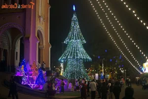 Experience Christmas Magic at Da Lat Cathedral: Vietnam's Famous Historic Church - image 6