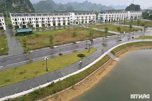 Modern Urban Development in Hoa Binh Mountains Remains Vacant and Abandoned - image 4