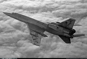 The Turbulent History and Fate of China's Sole Interceptor Fighter Jet - image 20