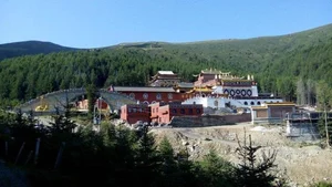 Discover the Unique Temple That Makes Visitors Long for Retirement - image 9
