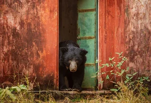 20 Breathtaking Wildlife Photos That Will Leave You Speechless - image 14