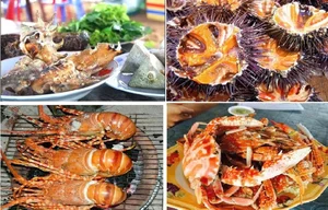 Exploring the Enchanting 'Blue Eyes' and Natural Beauty of Ninh Thuan Province - image 10