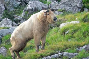 Mythical Monster Reborn: The Surprising Discovery That Shocked Scientists Worldwide - image 11