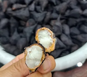 From Mud to Market: The Rise of Vietnam's Wetland Delicacy - image 4