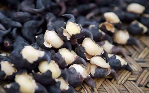 From Mud to Market: The Rise of Vietnam's Wetland Delicacy - image 0