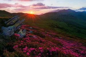Stunning Images: Unveiling the Mysteries of Europe's Most Enigmatic Country - image 14