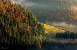 Stunning Images: Unveiling the Mysteries of Europe's Most Enigmatic Country - image 4