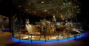 Actress Tang Thanh Ha Takes Her Kids on an Educational Dinosaur Museum Adventure - image 1