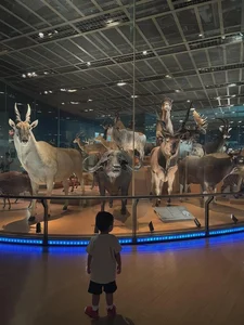 Actress Tang Thanh Ha Takes Her Kids on an Educational Dinosaur Museum Adventure - image 6