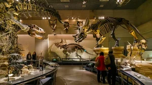 Actress Tang Thanh Ha Takes Her Kids on an Educational Dinosaur Museum Adventure - image 4