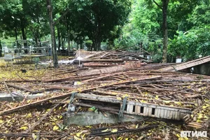 The Decay of a 'Golden Land' Venue: The Dilapidated State of Vinh City's Festival Hall - image 8