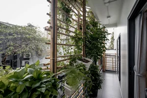 Innovative 25m2 Alley House Design: Green Oasis for a Family of Four - image 4