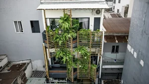 Innovative 25m2 Alley House Design: Green Oasis for a Family of Four - image 10