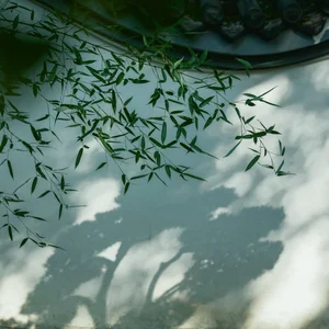 YiTuYu Art Language Vol.5242: Yu Yuan Yuan E Artistic Photography Collection - image 1