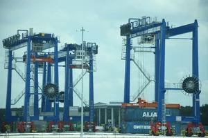 Dong Nai's Largest Seaport Set to Begin Operations Boosting Regional Logistics - image 8
