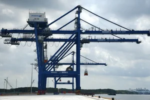 Dong Nai's Largest Seaport Set to Begin Operations Boosting Regional Logistics - image 2