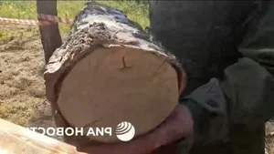 Ukraine’s Clever Camouflage: Mysterious Weapons Hidden Inside Tree Trunks Revealed - image 8