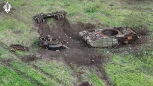 Ukraine’s Clever Camouflage: Mysterious Weapons Hidden Inside Tree Trunks Revealed - image 3