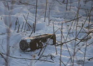Ukraine’s Clever Camouflage: Mysterious Weapons Hidden Inside Tree Trunks Revealed - image 4