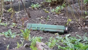 Ukraine’s Clever Camouflage: Mysterious Weapons Hidden Inside Tree Trunks Revealed - image 0
