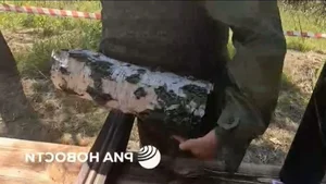 Ukraine’s Clever Camouflage: Mysterious Weapons Hidden Inside Tree Trunks Revealed - image 1