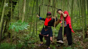 Di Giua Troi Ruc Ro Episode 8: High Stakes and Dramatic Twists for Pu and Chai - image 8