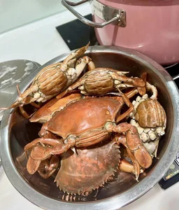 Vietnamese Singer in 6-Billion VND Home Excites Fans with Delicious Crab Recipe - image 1