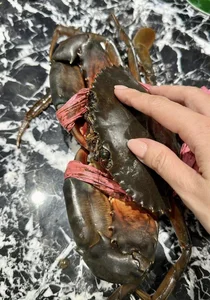 Vietnamese Singer in 6-Billion VND Home Excites Fans with Delicious Crab Recipe - image 10