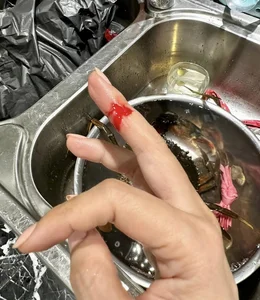 Vietnamese Singer in 6-Billion VND Home Excites Fans with Delicious Crab Recipe - image 6