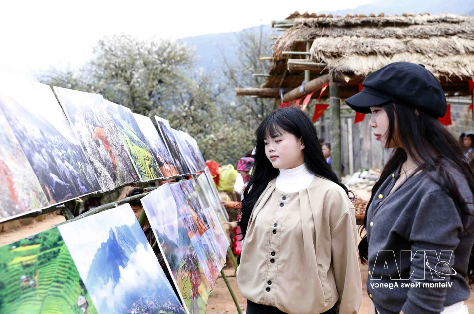 Experience the Vibrant Son Tra Blossom Festival: A Cultural and Natural Gem in Son La