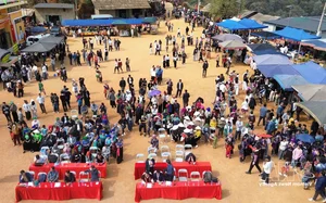 Experience the Vibrant Son Tra Blossom Festival: A Cultural and Natural Gem in Son La - image 5
