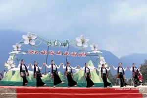 Experience the Vibrant Son Tra Blossom Festival: A Cultural and Natural Gem in Son La - image 6