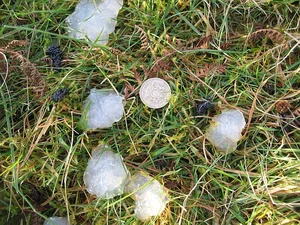 Mysterious Slime Falling from the Sky Puzzles Scientists and Researchers - image 2