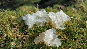 Mysterious Slime Falling from the Sky Puzzles Scientists and Researchers - image 7