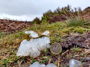 Mysterious Slime Falling from the Sky Puzzles Scientists and Researchers - image 6