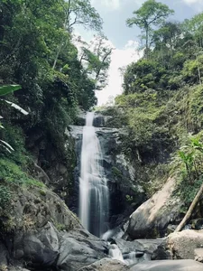 Escape the Summer Heat: Discovering the Green Beauty of Ta Xua - image 8