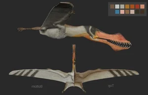 Unveiling the Strange Features of South America's Most Famous Flying Lizard - image 0