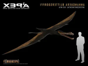 Unveiling the Strange Features of South America's Most Famous Flying Lizard - image 2