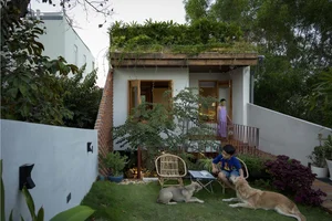 Unique House Design Inspired by the Classic Diary of a Cricket - image 9