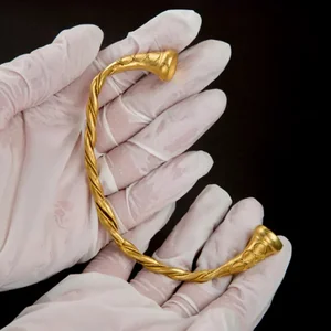 Amateur Metal Detectorist Unearths Priceless Ancient Treasure - image 1